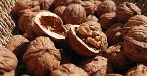 Foto: (Imagem sem texto alternativo disponivel ID [888172])