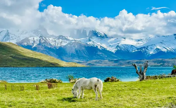 Uma das trilhas em Torres del Paine dentro do programa do hotel Las Torres Patagonia
