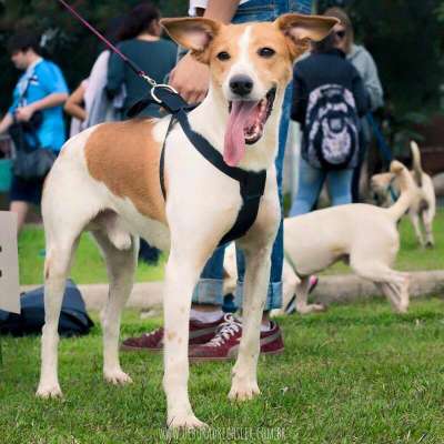 Foto: Reprodução/ Facebook