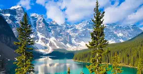 Foto: (AlbertoLoyo/iStock)