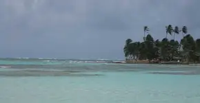 Foto: (Imagem sem texto alternativo disponivel ID [1436207])