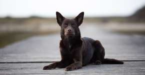 Foto: (Imagem sem texto alternativo disponivel ID [2748923])