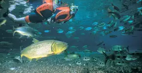 Bonito é destino acessível para todas as idades; veja dicas