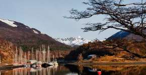 Foto: (Imagem sem texto alternativo disponivel ID [1514774])