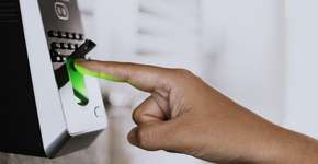 Foto: (FFM Advogados)