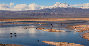 Passeios no Atacama: Lagunas Altiplânicas e Salar de Atacama