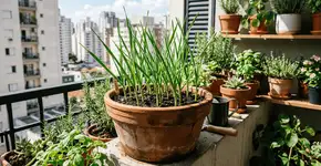 Foto: (Imagem sem texto alternativo disponivel ID [2756993])