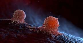 Semente que tem potencial contra o câncer e reduz risco de AVC