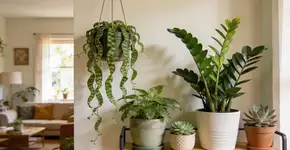 Foto: (Imagem sem texto alternativo disponivel ID [2701426])