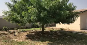 Foto: (Imagem sem texto alternativo disponivel ID [2708493])