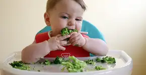 Método BLW: 10 passos para fazer a introdução alimentar