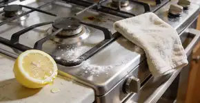 Foto: (Imagem sem texto alternativo disponivel ID [2716720])