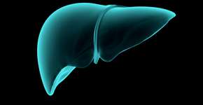 Foto: (eranicle/istock)