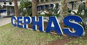 Cephas oferece 2.000 vagas para cursos gratuitos EaD