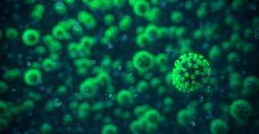 França identifica nova variante do coronavírus com 46 mutações