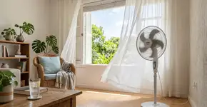 Foto: (Imagem sem texto alternativo disponivel ID [2768823])