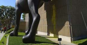 Escultura de labrador ‘marca território’ em museu