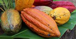 Foto: (Imagem sem texto alternativo disponivel ID [1867657])