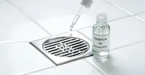 Nas casas mais organizadas da Suécia o banheiro não tem mau cheiro porque usam gotas de eucalipto para neutralizar o ralo