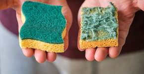 Foto: (iStock/Ladanifer)