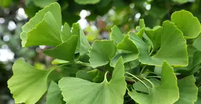 Foto: (fotokris44/DepositPhotos)