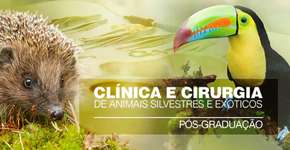 Foto: (Imagem sem texto alternativo disponivel ID [1846342])