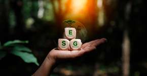 5 cursos gratuitos para impulsionar carreiras e negócios