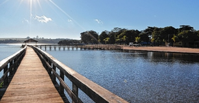 Já imaginou nadar nas águas do Tietê? Em Arealva (SP) é possível