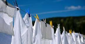 Foto: (Imagem sem texto alternativo disponivel ID [1604753])