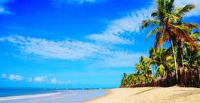 Foto: (Divulgação/CVC)