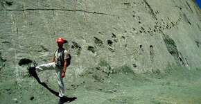 Foto: (Imagem sem texto alternativo disponivel ID [1868668])