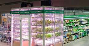 Mercado cria mini-fazenda vertical dentro da própria loja