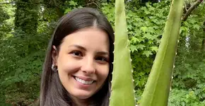 Estudante aposta na aloe vera para tratar retocolite ulcerativa de forma natural; médico opina