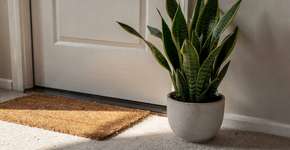 Foto: (Imagem sem texto alternativo disponivel ID [2709063])