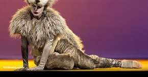 Foto: (Imagem sem texto alternativo disponivel ID [1844613])