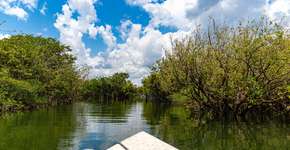 Foto: (Divulgação/Civitatis)