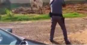 Foto: (Imagem sem texto alternativo disponivel ID [999298])