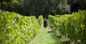 Foto: (Manuel Mendoza/Divulgação/Ministério do Turismo do Uruguai)