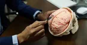 Foto: (DarioGaona/istock)