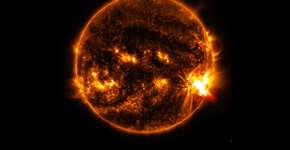 Foto: (Imagem sem texto alternativo disponivel ID [1895111])