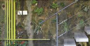 Foto: (Imagem sem texto alternativo disponivel ID [797426])