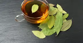 Chá de louro: 9 receitas e seus benefícios para a saúde