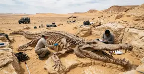 A poucos centímetros da superfície e em estado impecável, pesquisadores localizaram no Saara o fóssil de um crocodilo oceânico de 10 metros que põe em xeque a cronologia do Jurássico