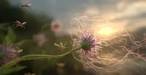 Pesquisadores criam solução que elimina mosquito da dengue sem afetar outros animais