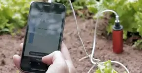 Foto: (Imagem sem texto alternativo disponivel ID [1839358])