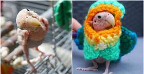 Foto: (Imagem sem texto alternativo disponivel ID [1139887])