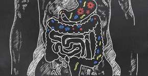 Bactérias “do bem” ajudam mais a perder peso que cortar calorias