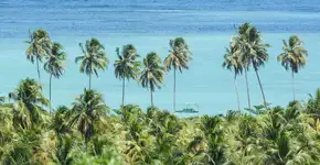 Foto: (Marco Ankosqui/MTur)