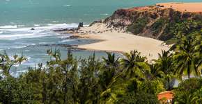 Foto: (Fernando Chiriboga/Divulgação)