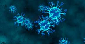 Foto: (Kamionsky/istock)